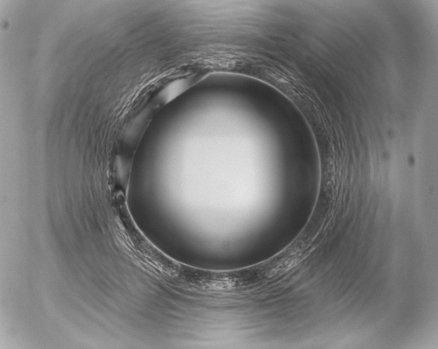 X0000052930600200507221123