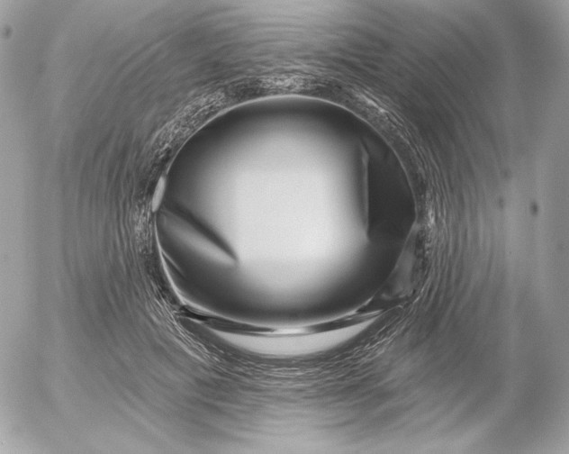 X0000052930601200507221123