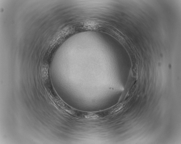 X0000052930603200507221123