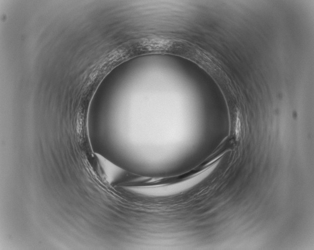 X0000052930604200507221123