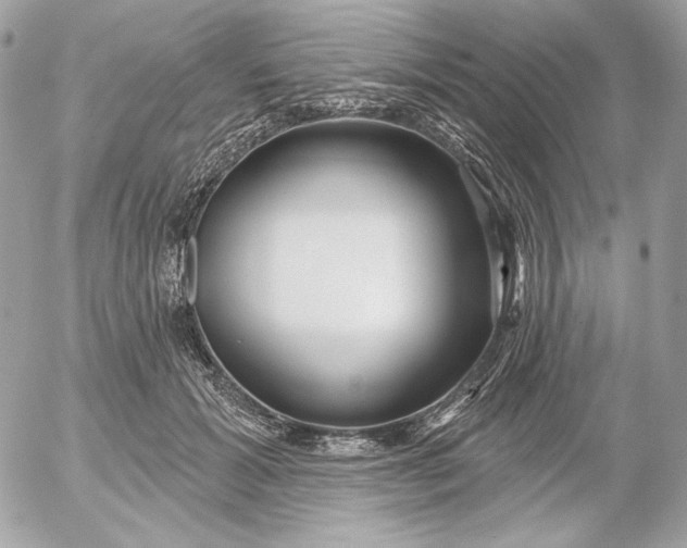 X0000052930605200507221123