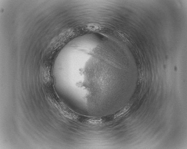 X0000052930606200507221123