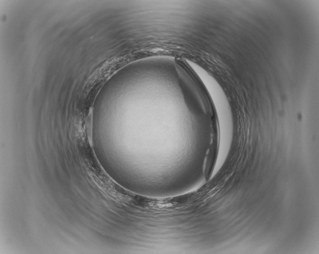 X0000052930607200507221123