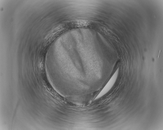 X0000052930608200507221123