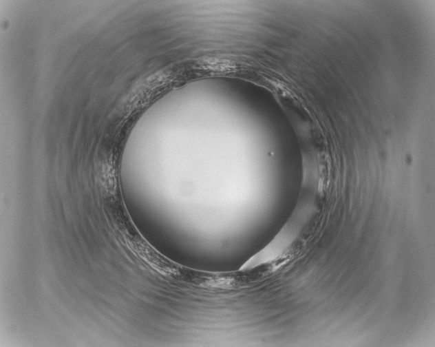 X0000052930609200507221123