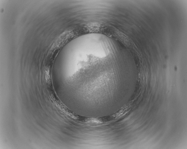 X0000052930610200507221123