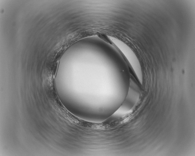 X0000052930613200507221123