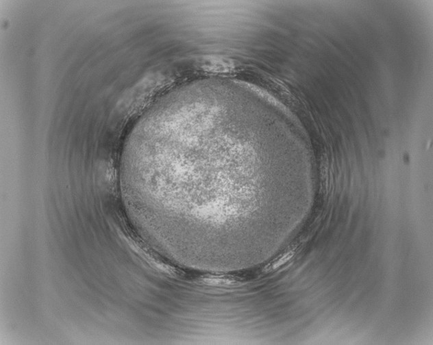 X0000052930614200507221123