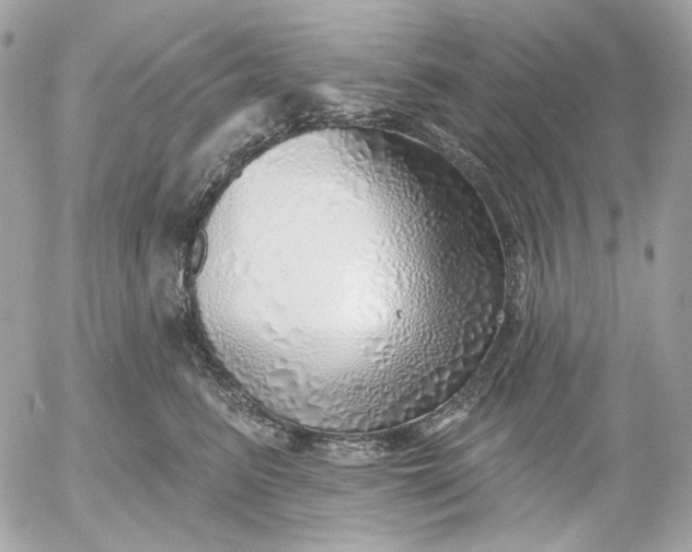 X0000052930615200507221123