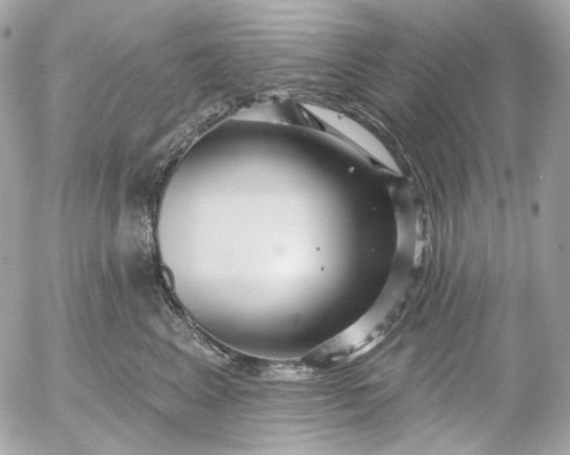 X0000052930617200507221123