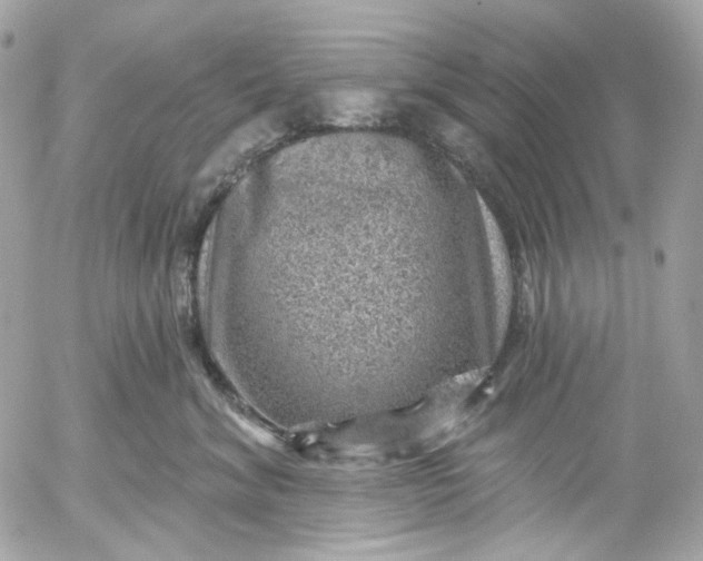 X0000052930620200507221123