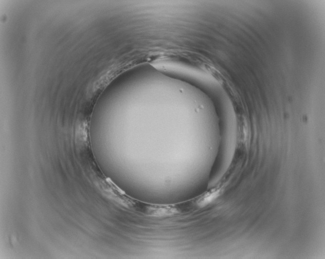 X0000052930621200507221123