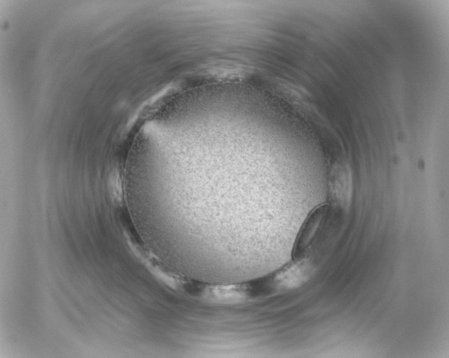 X0000052930622200507221123