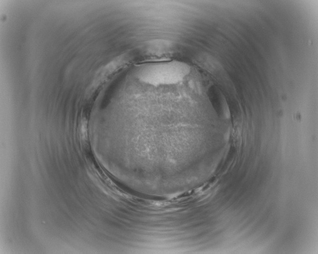 X0000052930623200507221123