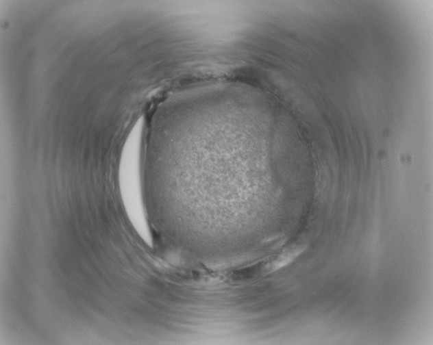 X0000052930624200507221123