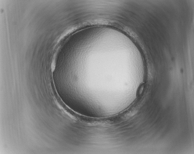 X0000052930625200507221122