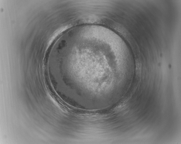 X0000052930626200507221122