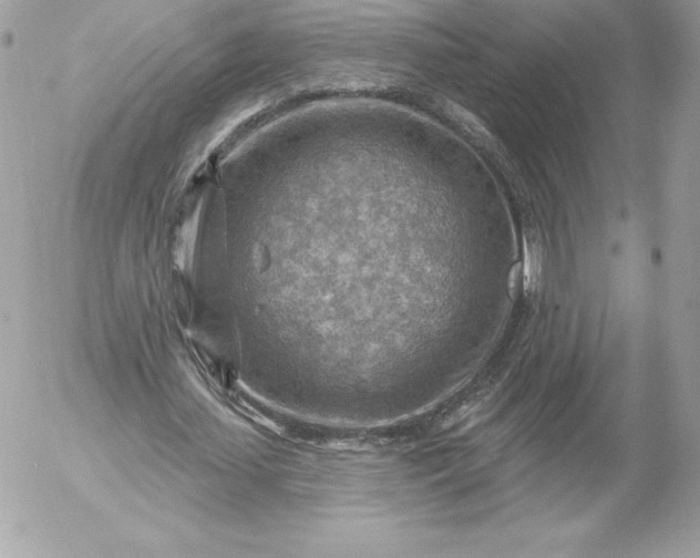 X0000052930627200507221122