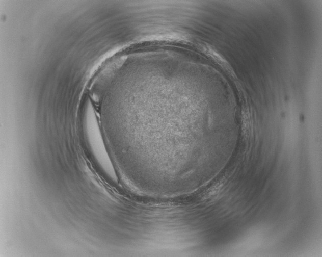 X0000052930628200507221122