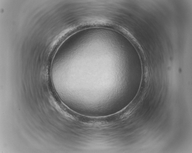 X0000052930629200507221122