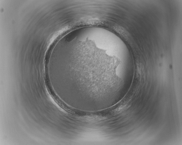 X0000052930630200507221122