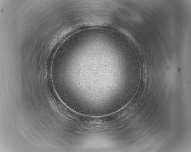 X0000052930631200507221122