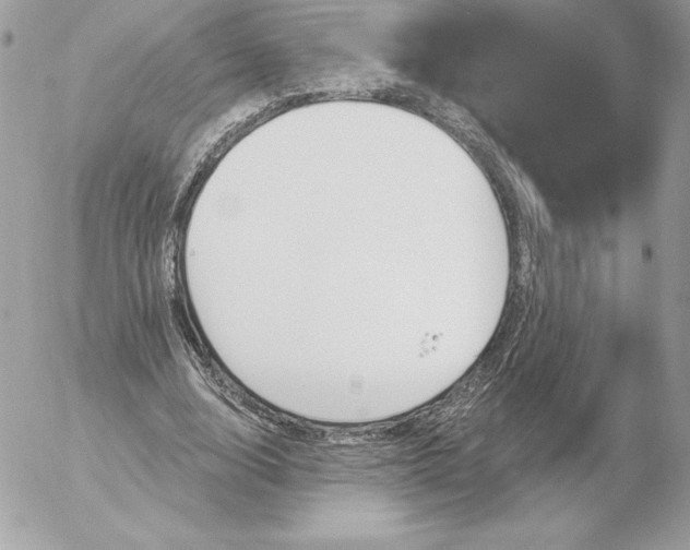 X0000052930632200507221122