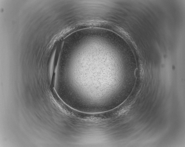 X0000052930633200507221122