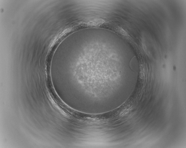 X0000052930634200507221122