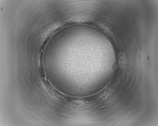 X0000052930635200507221122