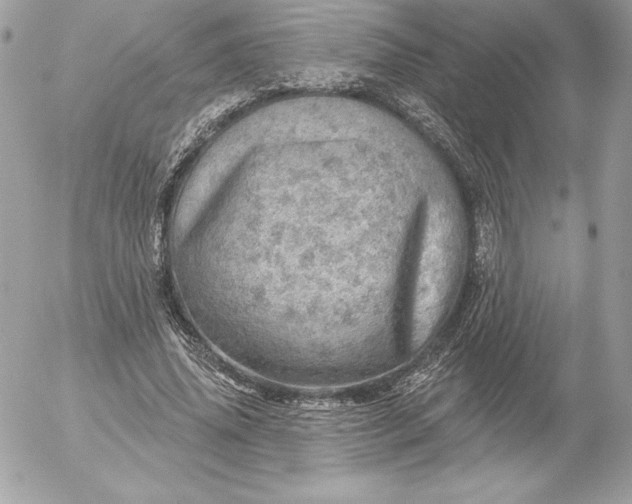 X0000052930636200507221122