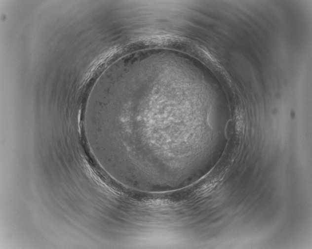 X0000052930637200507221122