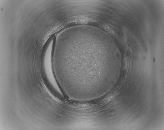 X0000052930638200507221122