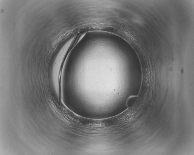 X0000052930639200507221122