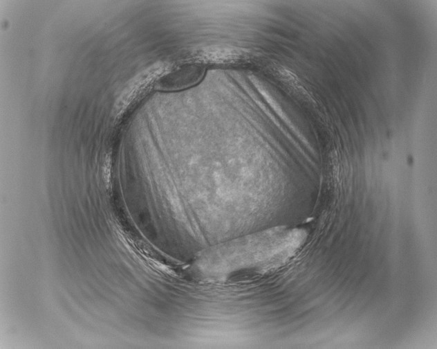 X0000052930640200507221122