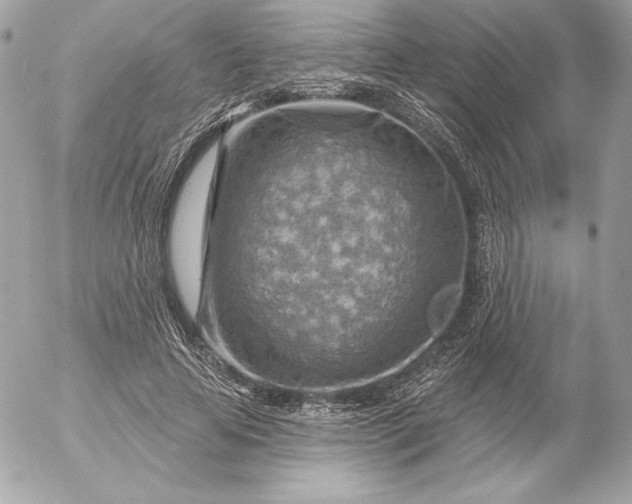 X0000052930641200507221122