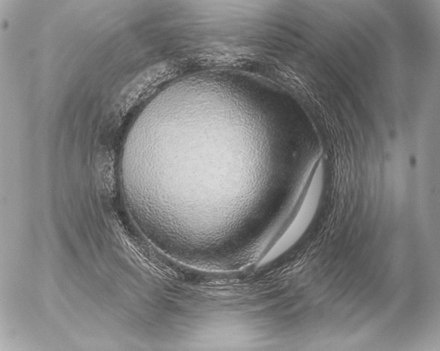 X0000052930642200507221122