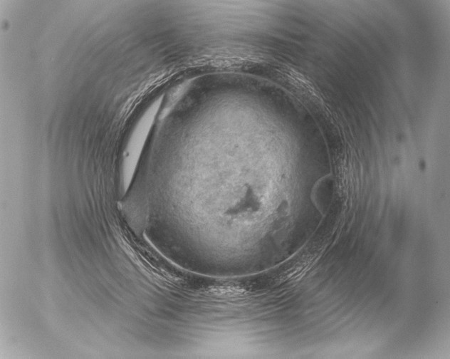 X0000052930644200507221122