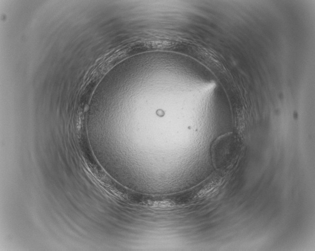 X0000052930645200507221122