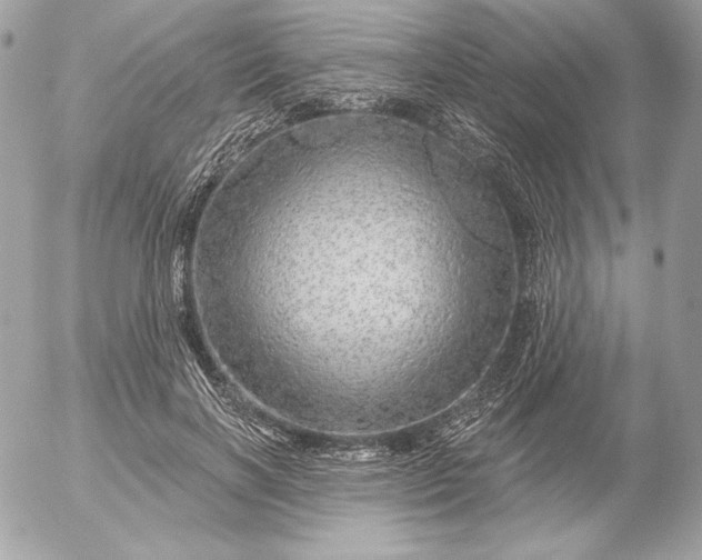 X0000052930646200507221122