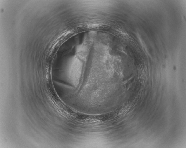 X0000052930648200507221122