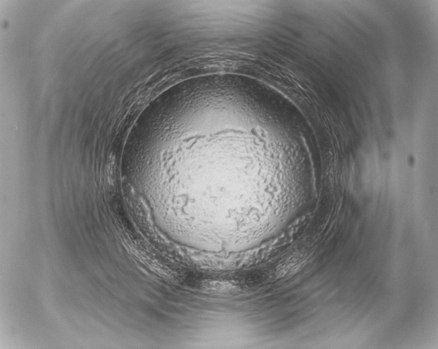 X0000052930649200507221122