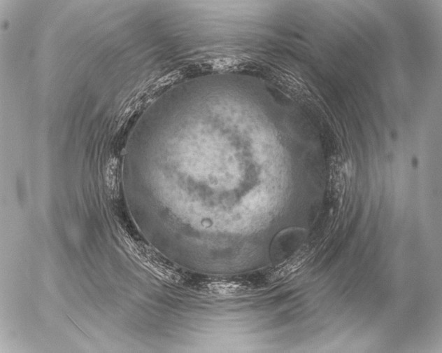 X0000052930650200507221123