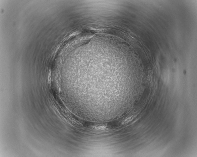 X0000052930651200507221123