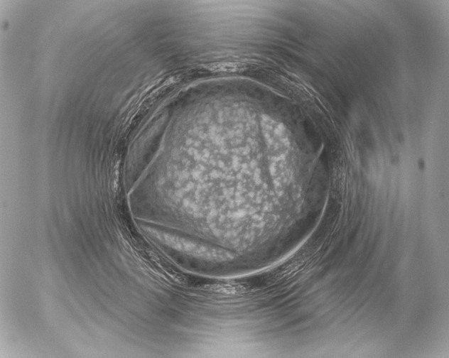 X0000052930652200507221123