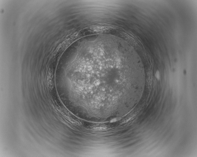 X0000052930653200507221123