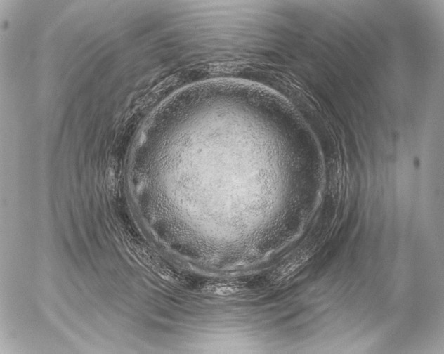 X0000052930655200507221123