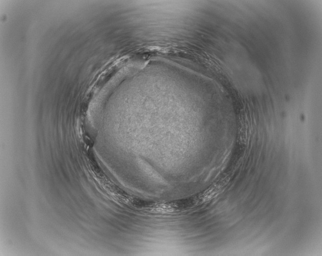 X0000052930656200507221123