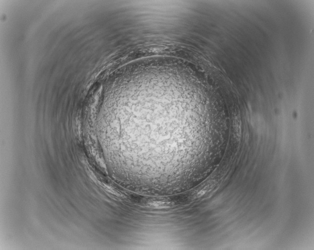 X0000052930657200507221123