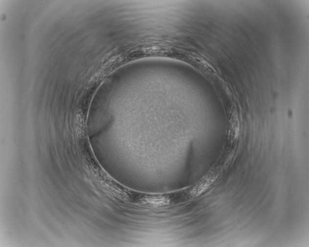 X0000052930659200507221123